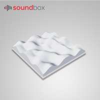 Soundbox Studio/Hi-Fi Room Sound Diffuser Acoustic Panel